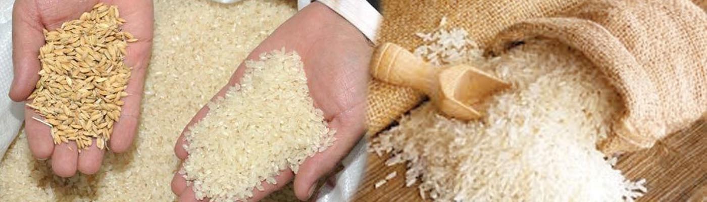 Çarşamba Toraman Pirinç